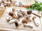 Champignons aufwärmen – warum eigentlich nicht? - Tip