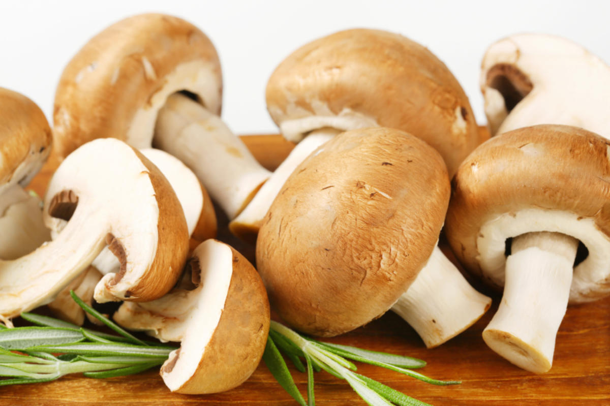 Kann Man Champignons Roh Essen Tipp Kochbar De