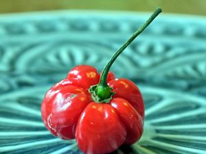 Frische Chilis haltbar und gut dosierbar machen - Tip