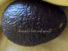 was tue ich mit unreifen harten Avocados ? - Tip