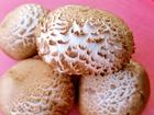 Einfrieren von frischen Champignons - Tip
