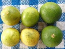 Frischer Limonensaft aus Limonen - Tip