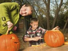 Kürbisse aushöhlen – der Familienspaß zu Halloween - Tip