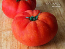 Tomaten richtig schneiden - Tip