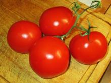 Frische Tomaten lagern - Tip