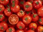Tomaten blanchieren – eine schonende und vielseitige Garmethode - Tip