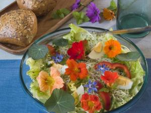 Essbare Blüten – So kommt Farbe auf den Teller - Tip
