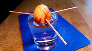 Avocado-Kerne - Tip