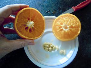 der Zitronen/Orangentrick - Tip
