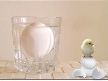 Ein Tipp, um das rohe Ei zu überprüfen, ob es noch frisch ist. - Tip