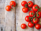 Gesunde Frische aus dem eigenen Garten – selbst gezüchtete Tomaten - Tip