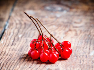 Preiselbeeren einkochen für Desserts und Wildgerichte - Tip