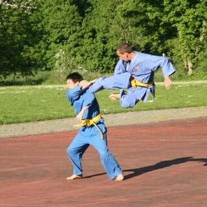vovinam