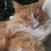Benutzerbild von Dreamcoon