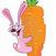 Benutzerbild von veggiehase
