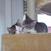 Benutzerbild von Fasti_74