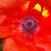 Benutzerbild von Hexenlady01