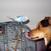 Benutzerbild von Andy1159