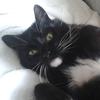 Benutzerbild von Ming