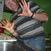 Benutzerbild von kenklies