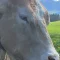Benutzerbild von Claton