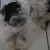 Benutzerbild von j****9~69e6132cc8320
