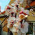 Benutzerbild von loewe_bs