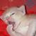 Benutzerbild von Barnie