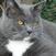 Benutzerbild von crazycmouse