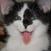 Benutzerbild von willy2006