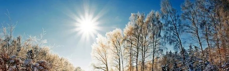 Benutzerbanner von SantaCruz