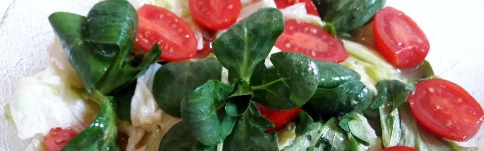 Benutzerbanner von caramaus