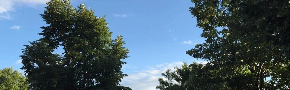 Benutzerbanner von Salatblatt