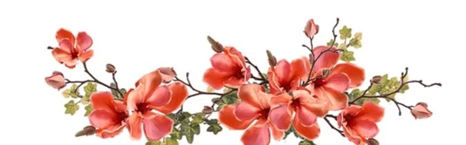 Benutzerbanner von 2010Herford