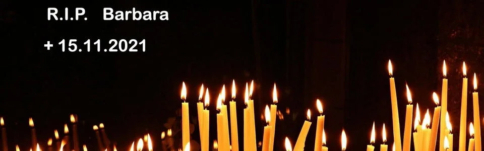 Benutzerbanner von barbara62