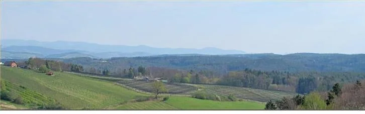 Benutzerbanner von Bettina2010