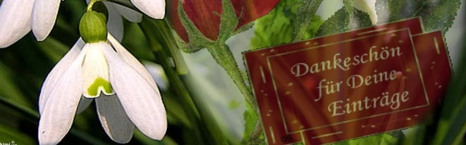 Benutzerbanner von guben1966