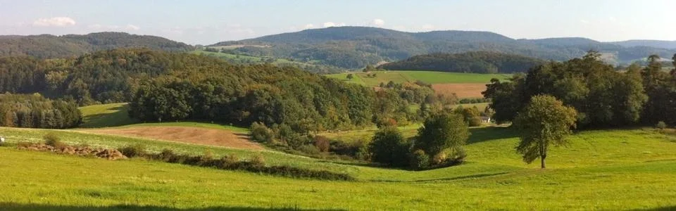 Benutzerbanner von avus50