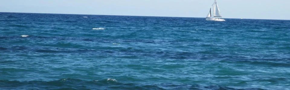 Benutzerbanner von Dianne