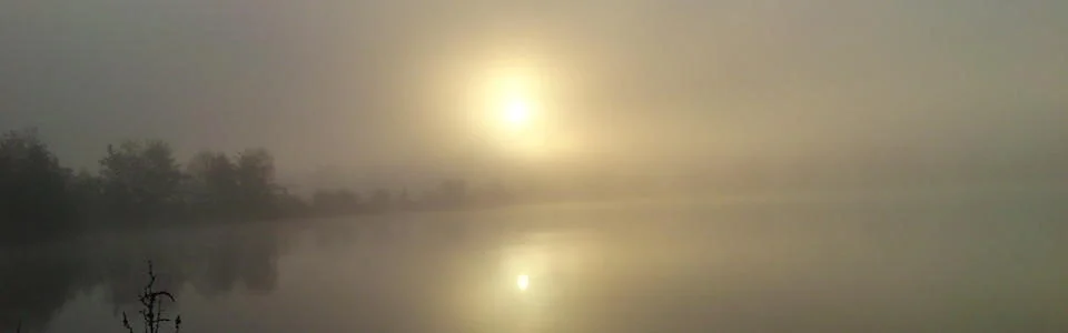 Benutzerbanner von didi3003