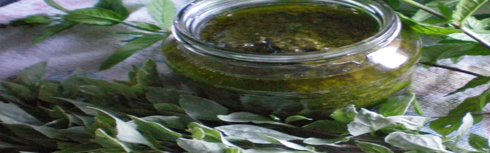 Benutzerbanner von Sunnywhity