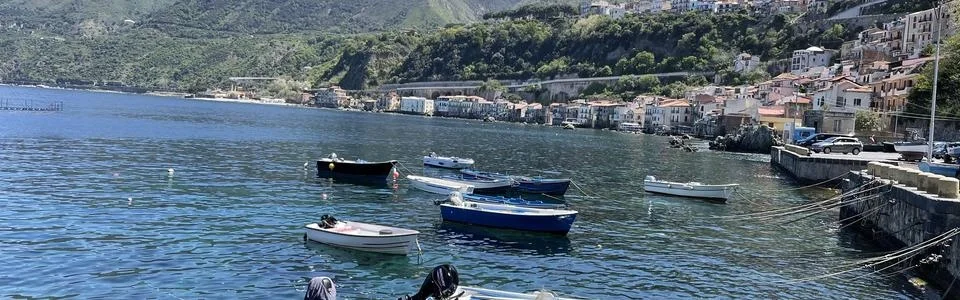 Benutzerbanner von Firenze