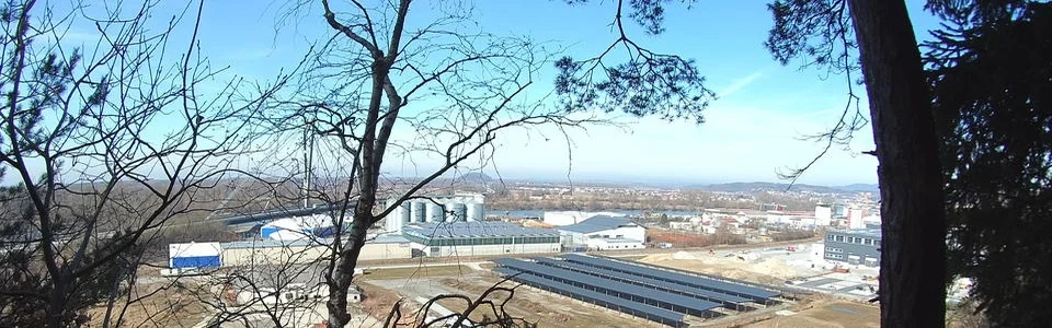 Benutzerbanner von Julemaus90