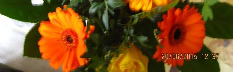 Benutzerbanner von klicks