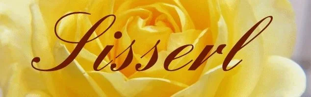 Benutzerbanner von Sisserl