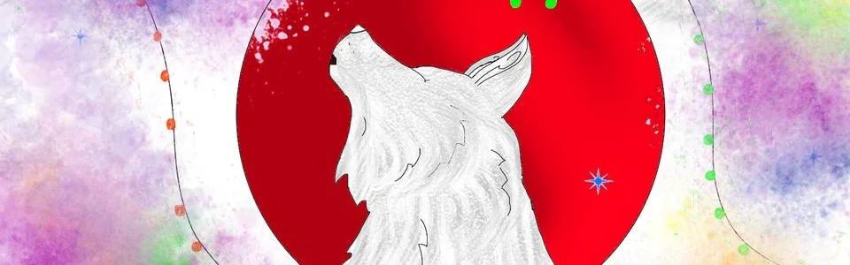 Benutzerbanner von Fiestatze