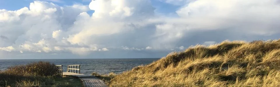 Benutzerbanner von Doktor_Tommy