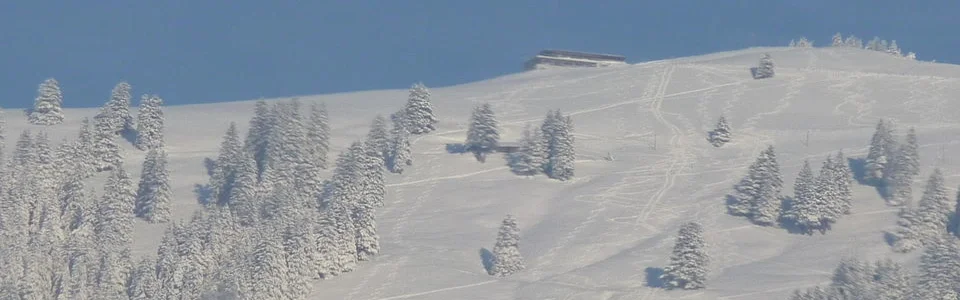 Benutzerbanner von kuchentiger