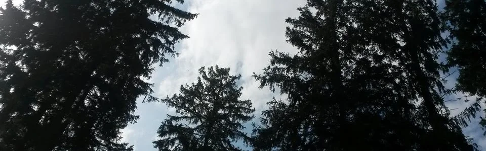 Benutzerbanner von grauchen64