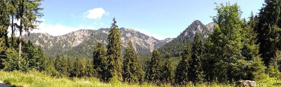 Benutzerbanner von joerg-h1